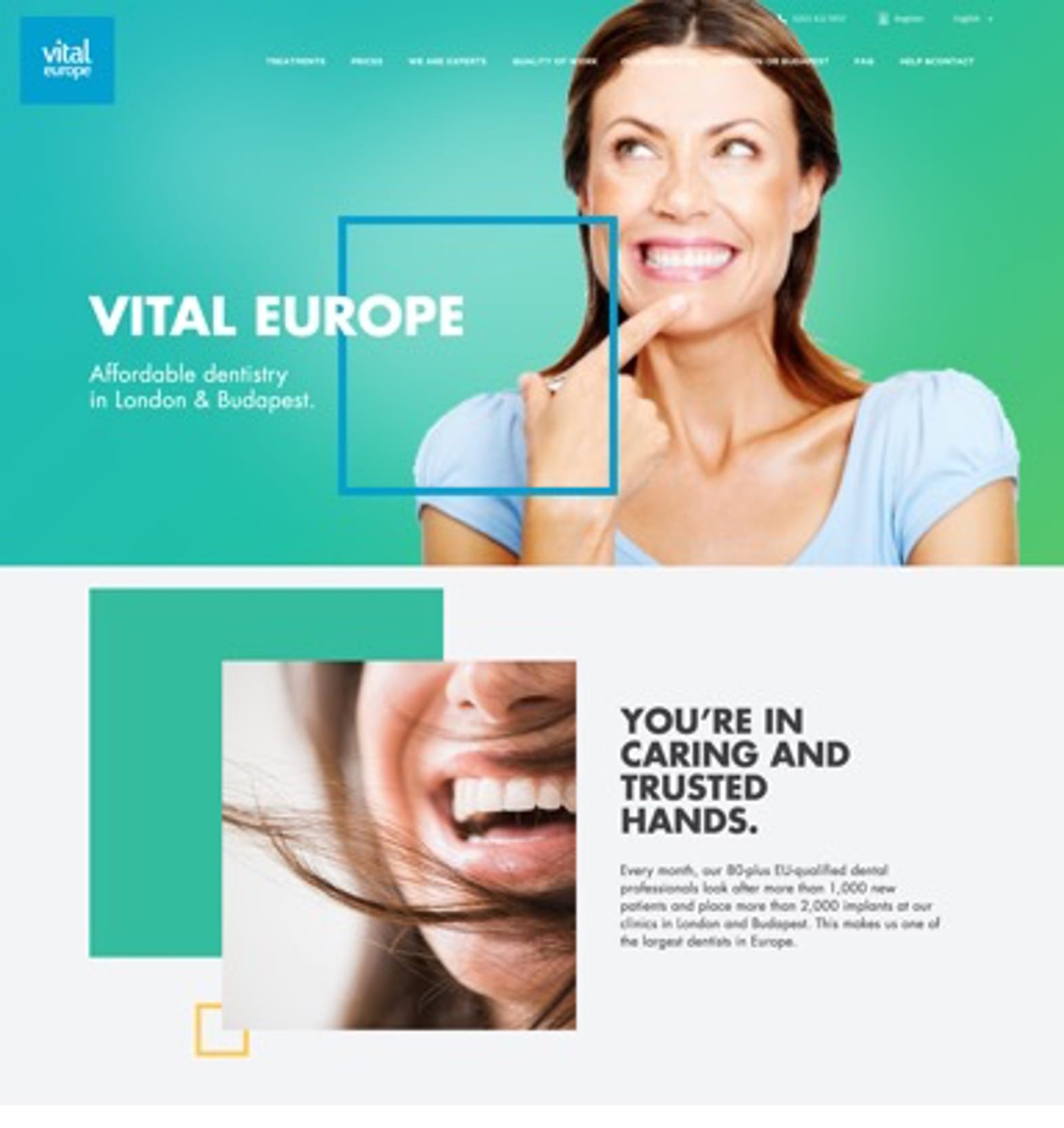 Vital Europe website redesign and digital customer journey work